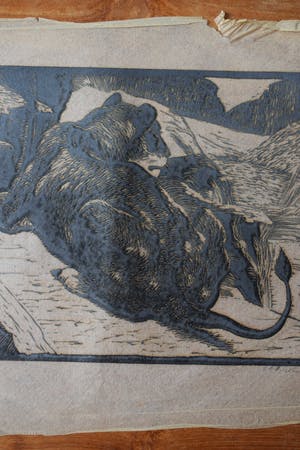 Antonius Hubertus Nordberg - Houtsnede - Leeuw kopen? Bied vanaf 60!