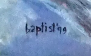 Ellen Baptist - VITA BREVIS kopen? Bied vanaf 50!