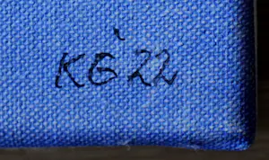 Klaas Gubbels - Olieverf op doek: "Zeker blauw" - 2022 kopen? Bied vanaf 1399!