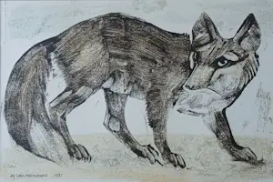 Alfons Van Meirvenne - "Vos" kopen? Bied vanaf 300!