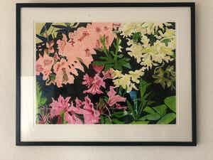 Vincent van Ojen - Rhododendron verkocht voor € 80!