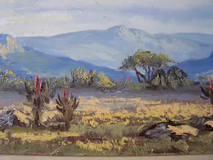 Don Benzien - Zuidafrikaans landschap kopen? Bied vanaf 50!