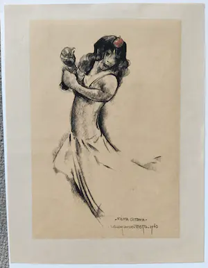 Willem van den Berg - Fiesta Gitana kopen? Bied vanaf 35!