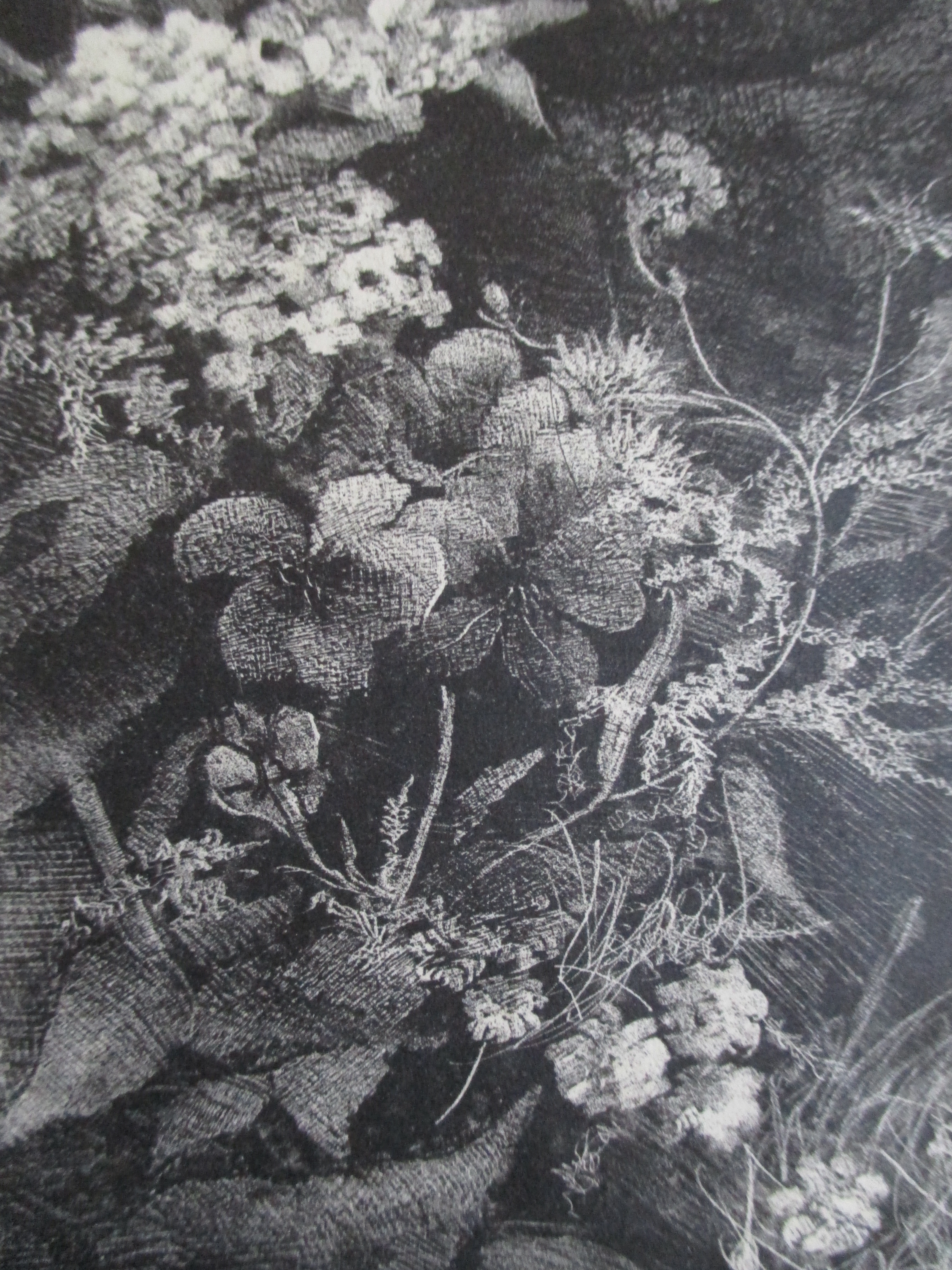 Aart van Dobbenburgh - Litho kopen? Bied vanaf 30!