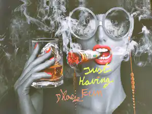 Hannes D'Haese - Just having fun verkocht voor € 100!