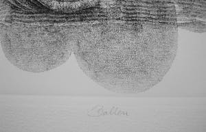 Gerard van Rooy - Ballen kopen? Bied vanaf 30!