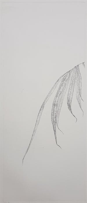 Reinder Homan - dubbele ets, botanisch, opl.3/50, incl. lijst kopen? Bied vanaf 150!