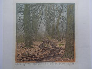 Siemen Dijkstra - Het groenen bos - Houtsnede 2001 kopen? Bied vanaf 190!