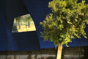 Niet of onleesbaar gesigneerd - C-print op dibond, Zonder titel kopen? Bied vanaf 1!