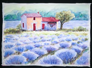 Jurjen Fontein - Aquarel op papier, Lavendel kopen? Bied vanaf 1!