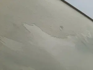 Niet of onleesbaar gesigneerd - Weide met bosrand - gesigneerd `TvA` kopen? Bied vanaf 1!