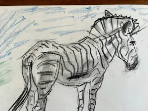 Cornelis Jan Mension - Tekening van een zebra, gemaakt in Artis kopen? Bied vanaf 80!