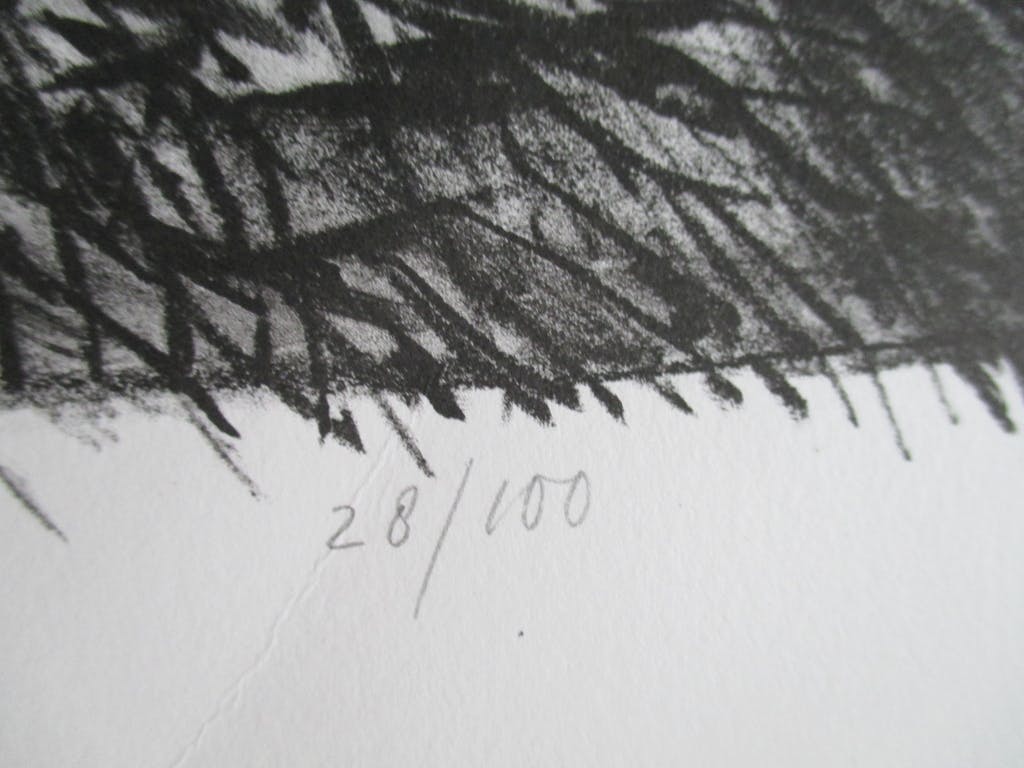 Arja van den Berg - litho 1996 kopen? Bied vanaf 35!