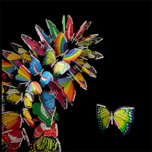 Onbekend - Butterfly on the wall kopen? Bied vanaf 100!