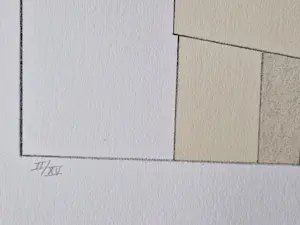 Jeroen Henneman - redelijk zeldzaam kleuren litho - oplage slechts 15 - stilleven - 1982 kopen? Bied vanaf 195!