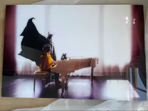 Deji - Hero'd Out 1 - Photography - Total edition of 30 - Sublimation print - HD kopen? Bied vanaf 100!