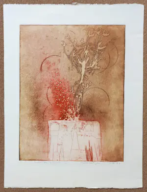 Jan Montyn - Gunung Merapi, aquatint ets kopen? Bied vanaf 125!