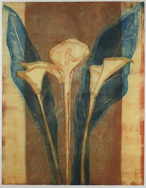 Lukie de Bree - Ets en aquatint, Z.T. Drie Zantedeschia's - Ingelijst kopen? Bied vanaf 40!