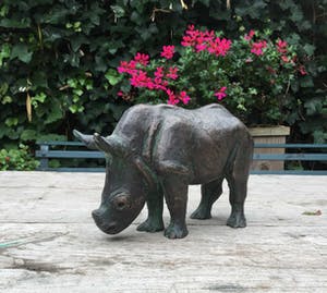 Hetty Heyster - C4830-4C, Neushoorn kopen? Bied vanaf 650!