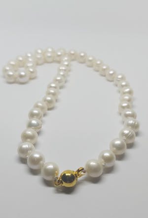 Zoetwaterparel Collier 14K gouden slotje 49cm kopen? Bied vanaf 65!