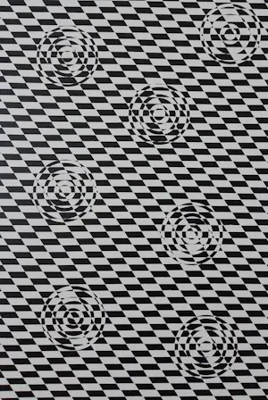 Wiesje van Dam - Volleyball kopen? Bied vanaf 49!