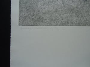 Jan Hein van Rooy - BORINAGE./LANDSCHAP BIJ DOUR kopen? Bied vanaf 45!