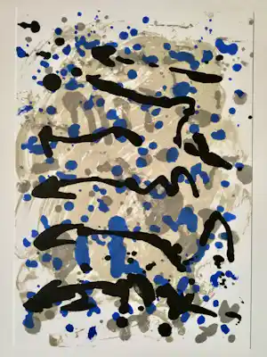 Jef Diederen - Litho verkauft für € 20!