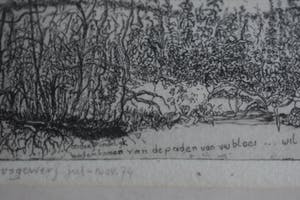 Theo Hoogewerf - Ets - Landschap kopen? Bied vanaf 50!