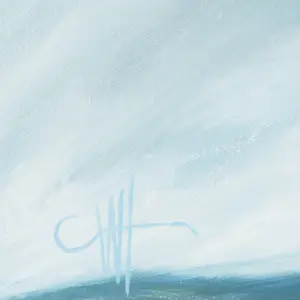 Wim Lemmens - Vrachtschip Svatoy zinkt voor kust Turkije kopen? Bied vanaf 40!