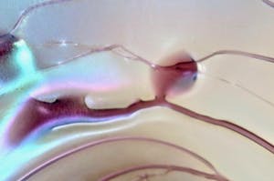 Glashutte Poschinger - Design Schaal - Groot - Handgemaakt - Waaiervormig - Iriserend glas+Purple spots kopen? Bied vanaf 1!