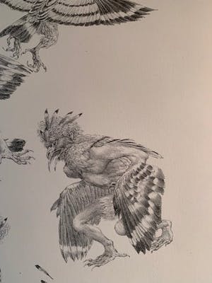 Peter Vos - Tereus kopen? Bied vanaf 15!