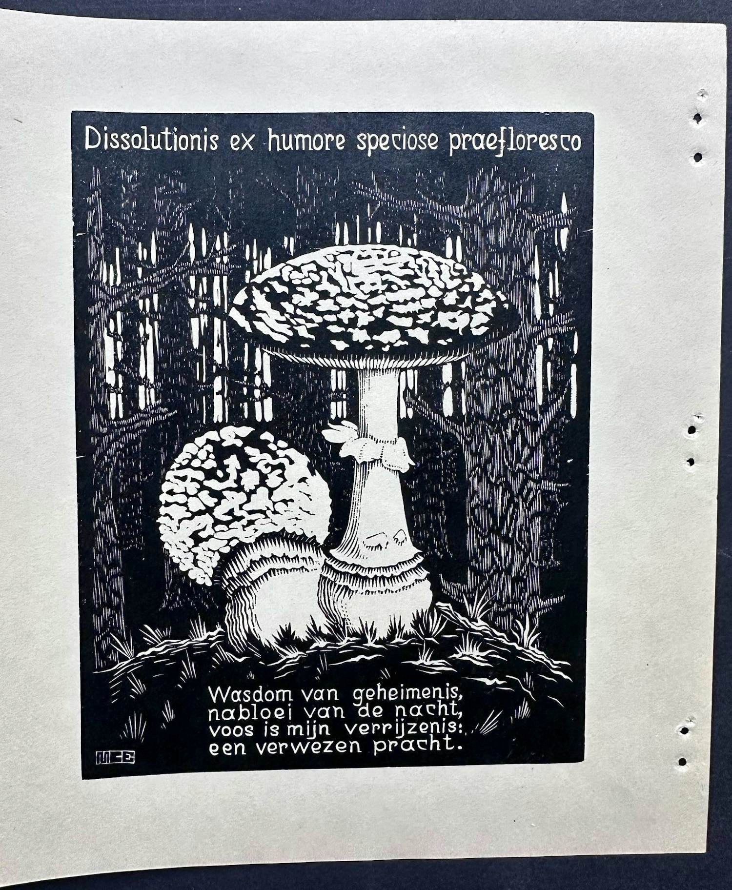 Maurits Cornelis Escher - Paddenstoel kopen? Bied vanaf 1250!