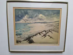 France Hilon - Duinenkust kopen? Bied vanaf 45!