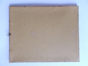 Jan Coenraad Nachenius - Bosgezicht met aloës in Zuid-Afrika - 1921/1922 kopen? Bied vanaf 50!