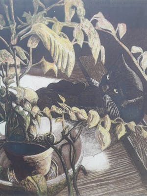 Ton de Kruyk - "de poes" . kopen? Bied vanaf 60!