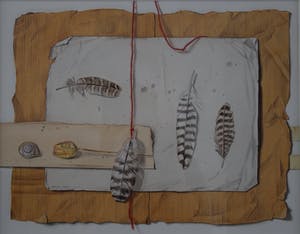 Ria Tensen-Kooy - Aquarel - Vier veertjes, droogbloem, schelp - Ingelijst kopen? Bied vanaf 70!