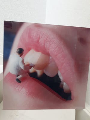 Niet of onleesbaar gesigneerd - Whitening kopen? Bied vanaf 1!