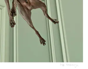 Mr. Strange - Charly Jump! kopen? Bied vanaf 85!