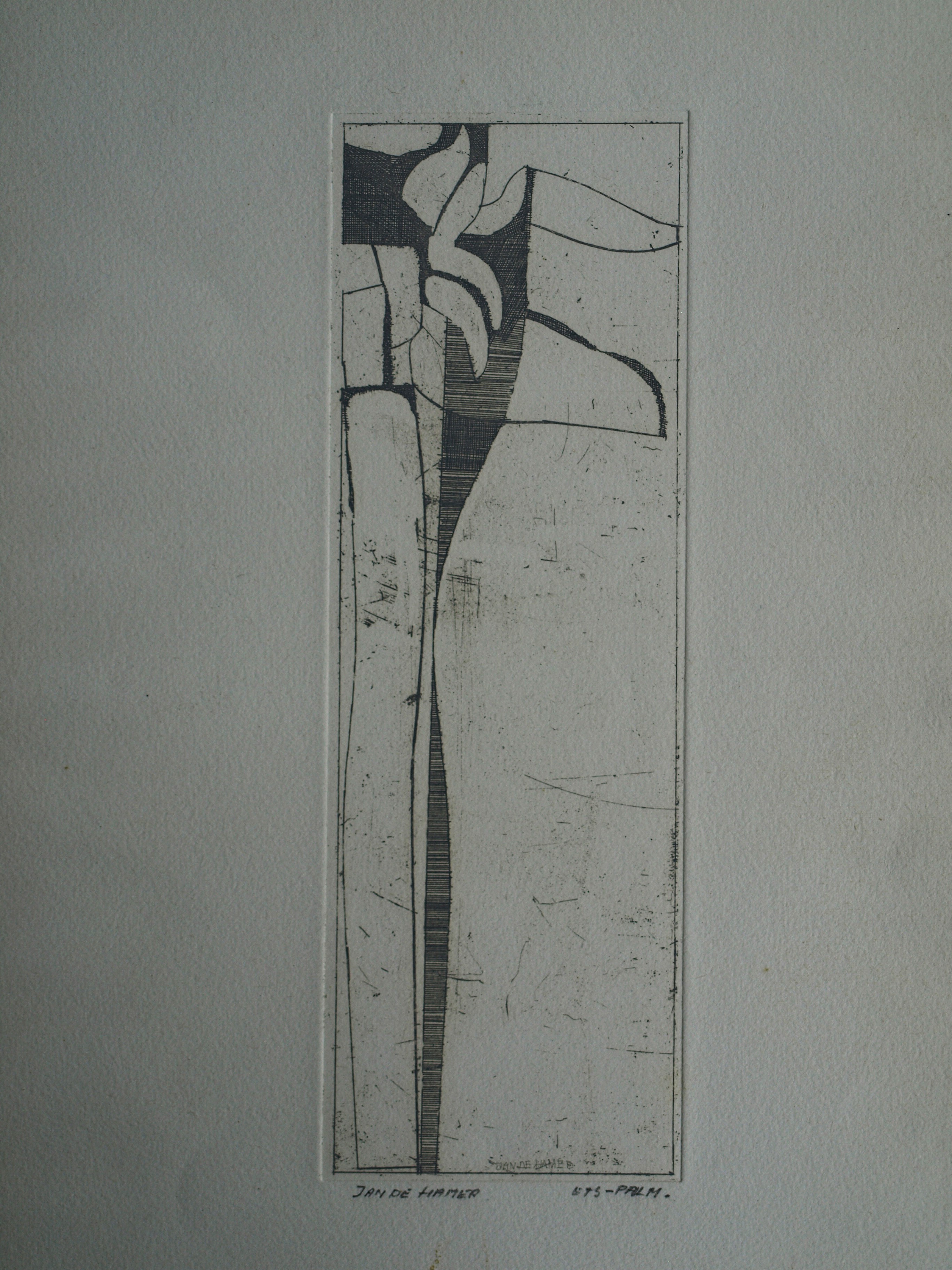 Jan de Hamer - Ets, Palm – gesigneerd – ca 1975 kopen? Bied vanaf 1!