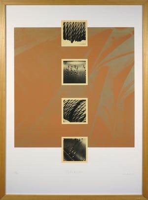 Rob Nypels - Zeefdruk, Carillon - Ingelijst (Groot) kopen? Bied vanaf 20!