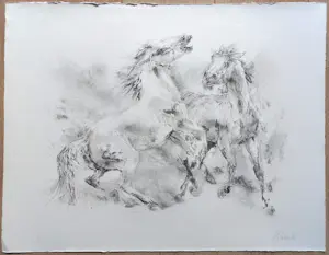 Piet Klaasse - Paarden, litho kopen? Bied vanaf 55!