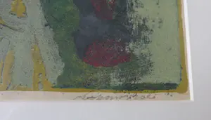 Daniel den Dikkenboer - ABSTRACTIE / KLEURZEEFDRUK / 50x60cm / KADER / SIG kopen? Bied vanaf 35!