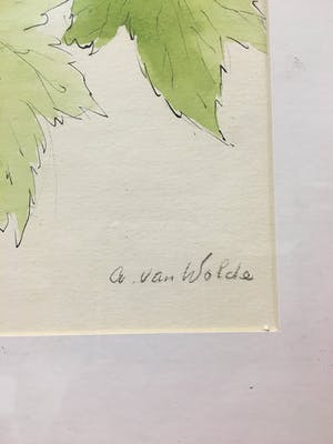 Annemarie van Wolde-Mulder - Groen. kopen? Bied vanaf 1!