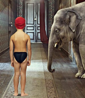 Mr. Strange - Young Maharaja kopen? Bied vanaf 50!