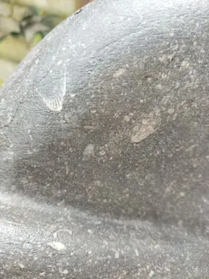 Greeth Zwering - Rustende Vrouw kopen? Bied vanaf 500!