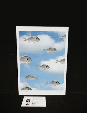 Mr. Strange - Tegen een stroom in kopen? Bied vanaf 80!