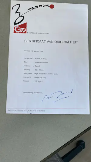 Marjon de Jong - Power of bamboo kopen? Bied vanaf 750!