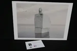 Mr Strange - Op en neer op de Noordpool kopen? Bied vanaf 85!