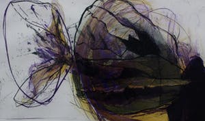 Hans Vredegoor - ingelijste ets: open up - 1988 kopen? Bied vanaf 35!