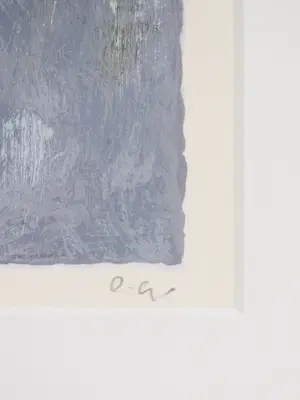 Charlotte Molenkamp - Vogel kopen? Bied vanaf 50!